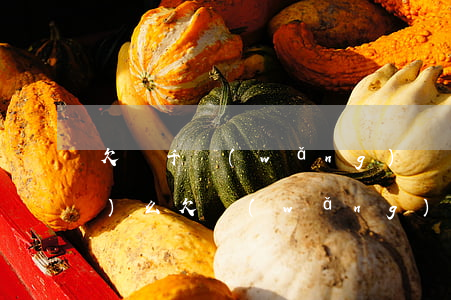 欠幾千網(wǎng)貸可以出國(guó)么(欠網(wǎng)貸能出國(guó)工作嗎)