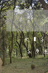 欠幾千貸款沒(méi)還逾期了(欠銀行兩千多,逾期一年多)