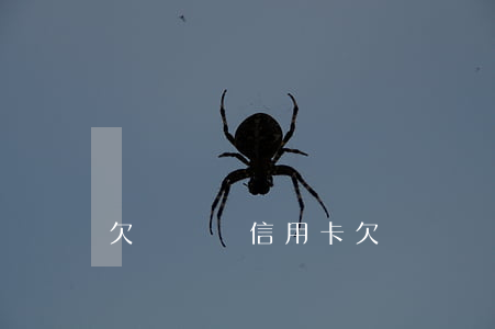 欠幾塊錢信用卡(欠幾塊錢信用卡會被起訴)