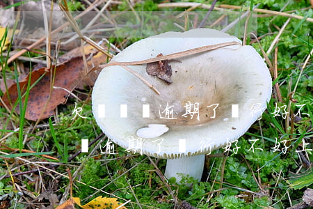 欠幾塊錢逾期了銀行好不好上征信-欠幾塊錢逾期了銀行好不好上征信呢