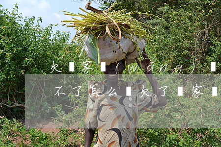 欠幾家網(wǎng)貸一時(shí)還不了怎么辦(欠了幾家網(wǎng)貸還不上怎么辦)