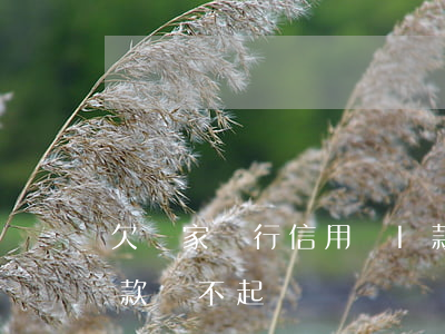欠幾家銀行信用貸I款還不上代(銀行信用貸款還不起)