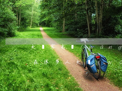 欠幾家高網(wǎng)貸(現(xiàn)在很多人欠網(wǎng)貸嗎)