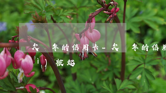 欠幾年的信用卡-欠幾年的信用卡會(huì)被起訴