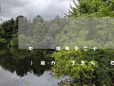 欠幾張信用卡二十幾萬(wàn)無(wú)能力還了怎么辦（四張信用卡欠20萬(wàn)）