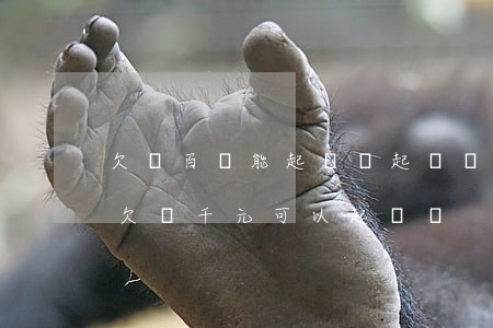 欠幾百塊能起訴嗎?起訴費(fèi)用多少(欠幾千元可以起訴嗎)
