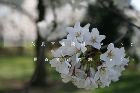 欠幾百塊錢網(wǎng)貸不還會怎么樣(幾百塊錢的網(wǎng)貸不還有什么后果)