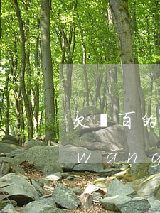 欠幾百的網(wǎng)貸會被起訴嗎(網(wǎng)貸欠了幾千元會不會被起訴)