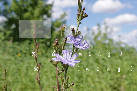 欠幾百網(wǎng)貸不還會怎樣(有沒有欠幾萬網(wǎng)貸不還的)