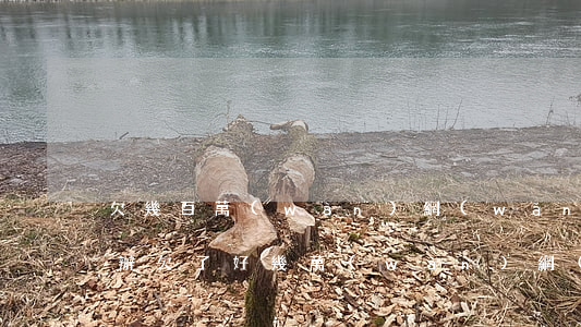 欠幾百萬(wàn)網(wǎng)貸怎么辦(欠了好幾萬(wàn)網(wǎng)貸怎么辦)