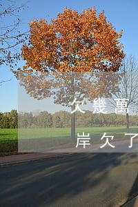 欠幾萬(wàn)網(wǎng)貸如何上岸(欠了十萬(wàn)網(wǎng)貸如何上岸)