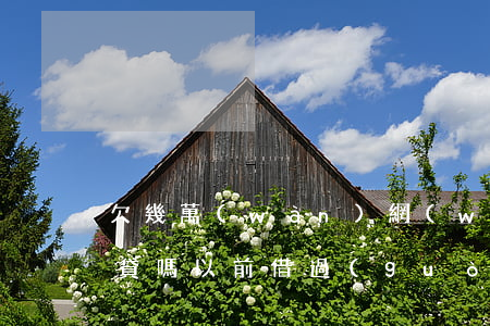 欠幾萬(wàn)網(wǎng)貸影響車貸嗎(以前借過(guò)很多網(wǎng)貸影響車貸嗎)