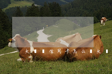 欠幾萬信用卡怎么還(欠幾萬信用卡怎么還清)
