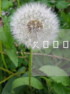 欠幾萬塊網(wǎng)貸家里人不幫