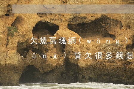 欠幾萬塊網(wǎng)貸怎么處理(網(wǎng)貸欠很多錢怎么辦)