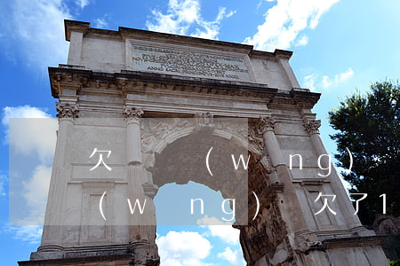 欠幾萬網(wǎng)貸一無所有怎么辦(網(wǎng)貸欠了1萬多怎么辦)