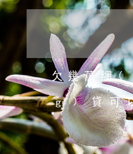 欠幾萬網(wǎng)貸(欠幾萬網(wǎng)貸可以做房產(chǎn)抵押貸款嗎)