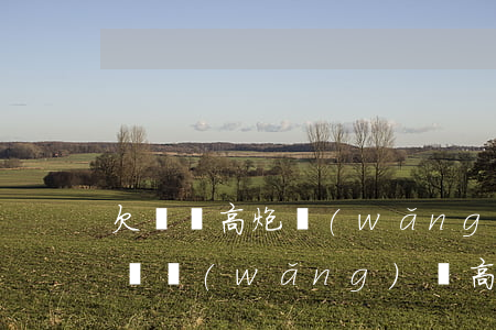 欠幾萬高炮網(wǎng)貸還不了了怎么辦(網(wǎng)貸高炮口子逾期后果)