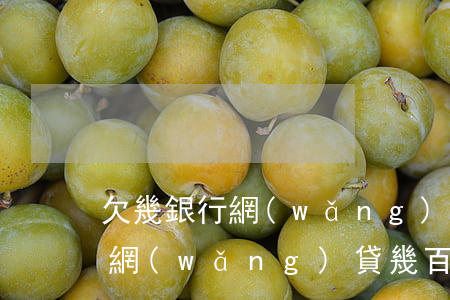 欠幾銀行網(wǎng)貸幾十萬還不起(欠網(wǎng)貸幾百萬還不了會怎么樣)