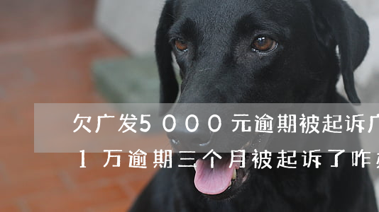 欠广发5000元逾期被起诉 广发银行欠款1万逾期三个月被起诉了咋办