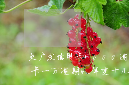 欠广发信用卡4000逾期一年(欠广发信用卡一万逾期4年变十几万怎么办)