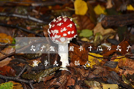 欠广发信用卡十几万(欠广发信用卡没还,说立案,多久能抓人)