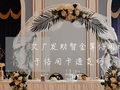 欠广发财智金算信用卡诈骗吗(广发财智金属于信用卡透支吗)