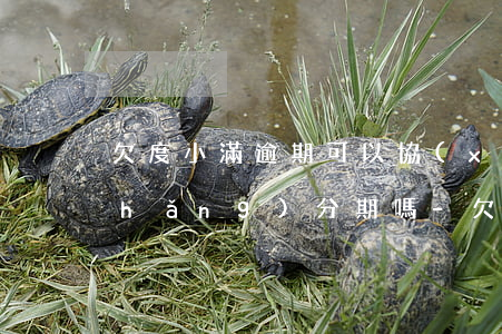 欠度小滿逾期可以協(xié)商延長(zhǎng)分期嗎-欠度小滿逾期可以協(xié)商延長(zhǎng)分期嗎怎么辦