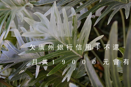 欠廣州銀行信用卡不還-廣州銀行欠款6個月,共19000元,會有什么處罰