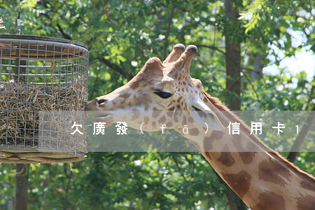 欠廣發(fā)信用卡1萬五