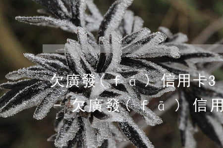 欠廣發(fā)信用卡3萬6還不上怎么辦-欠廣發(fā)信用卡3萬還不起了移交法務部