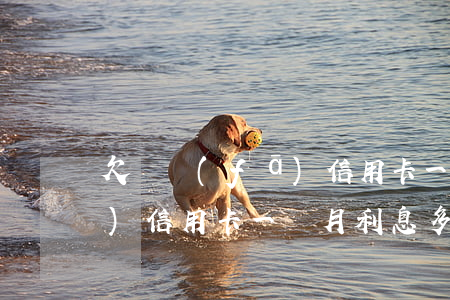 欠廣發(fā)信用卡一個月(欠廣發(fā)信用卡一個月利息多少)