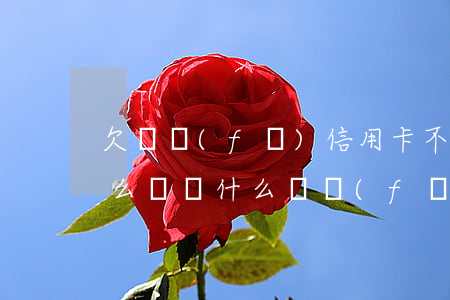 欠廣發(fā)信用卡不還會(huì)怎么樣(為什么廣發(fā)銀行信用卡還不了)