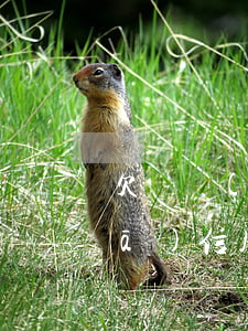 欠廣發(fā)信用卡多久沒還(欠廣發(fā)信用卡多久沒還會(huì)起訴)