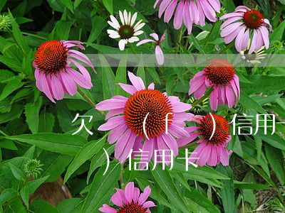 欠廣發(fā)信用卡巳立案(起訴廣發(fā)信用卡)