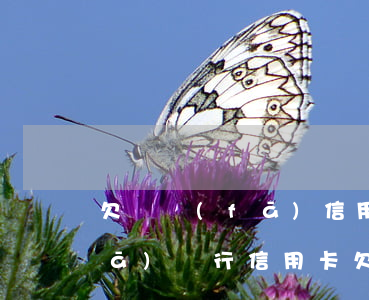 欠廣發(fā)信用卡幾個月不還(廣發(fā)銀行信用卡欠款5萬不還會怎么樣)