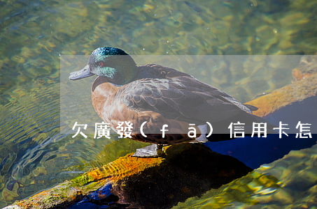 欠廣發(fā)信用卡怎么報(bào)案