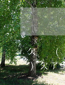欠廣發(fā)貸款八萬還不起 廣發(fā)欠了9萬逾期一年了,每月只還幾百進(jìn)去,會被起訴嗎