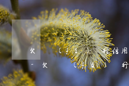 欠廣發(fā)銀行信用卡被起訴了怎么辦-欠廣發(fā)銀行信用卡被起訴了怎么辦理
