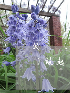 欠廣發(fā)銀行信用卡逾期會(huì)被起訴嗎-欠廣發(fā)銀行信用卡逾期會(huì)被起訴嗎知乎