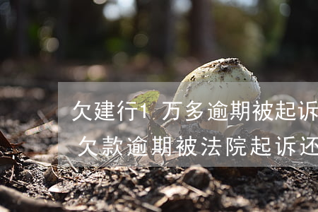 欠建行1万多逾期被起诉后还款了 建设银行欠款逾期被法院起诉还清以后怎么办