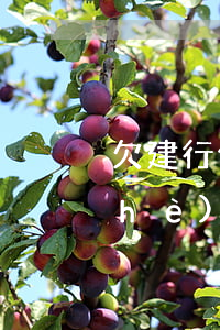 欠建行信用卡一時還不上怎么辦-建設(shè)銀行的信用卡不還有什么后果