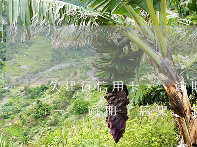 欠建行信用卡一萬逾期了后果(欠建行信用卡一萬逾期了后果會怎樣)