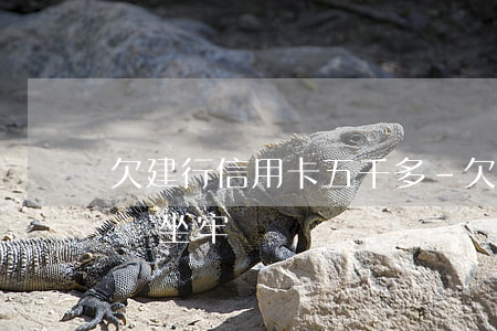 欠建行信用卡五千多-欠建行信用卡五千多會坐牢嗎