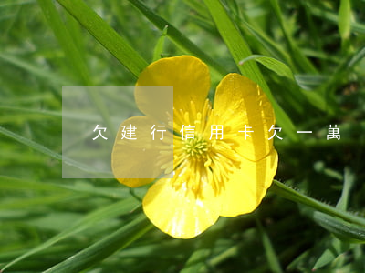 欠建行信用卡欠一萬