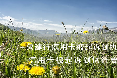 欠建行信用卡被起诉到执行要多久-欠建行信用卡被起诉到执行要多久才能结案