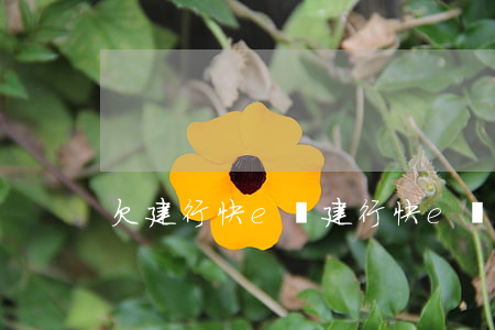 欠建行快e貸(建行快e貸無法還款)