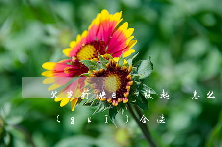 欠建行快e貸被起訴怎么辦(建行快e貸正規(guī)合法嗎)