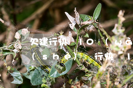 欠建行快貸10萬(wàn) 被起訴(欠建設(shè)銀行快貸12萬(wàn)構(gòu)成什么)