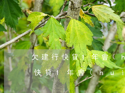 欠建行快貸1年會(huì)怎么樣(欠建行快貸1年會(huì)怎么樣)